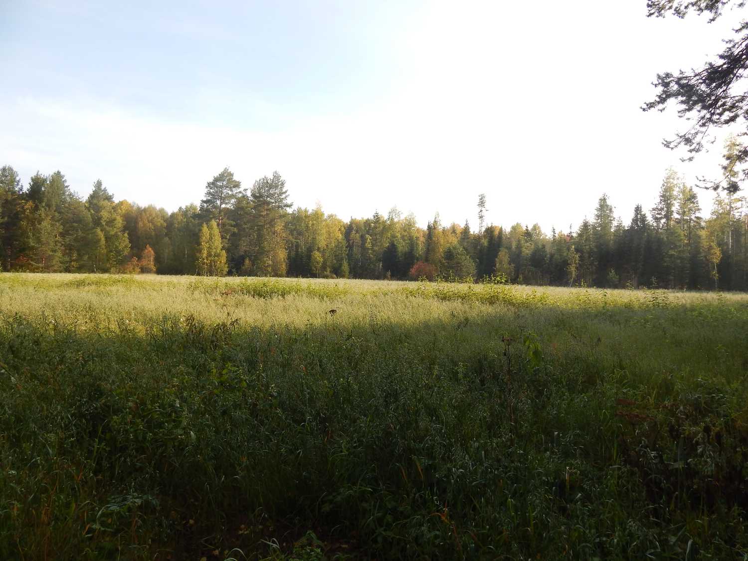 Помощь в вопросах ведения и организации работы охотничьего хозяйства