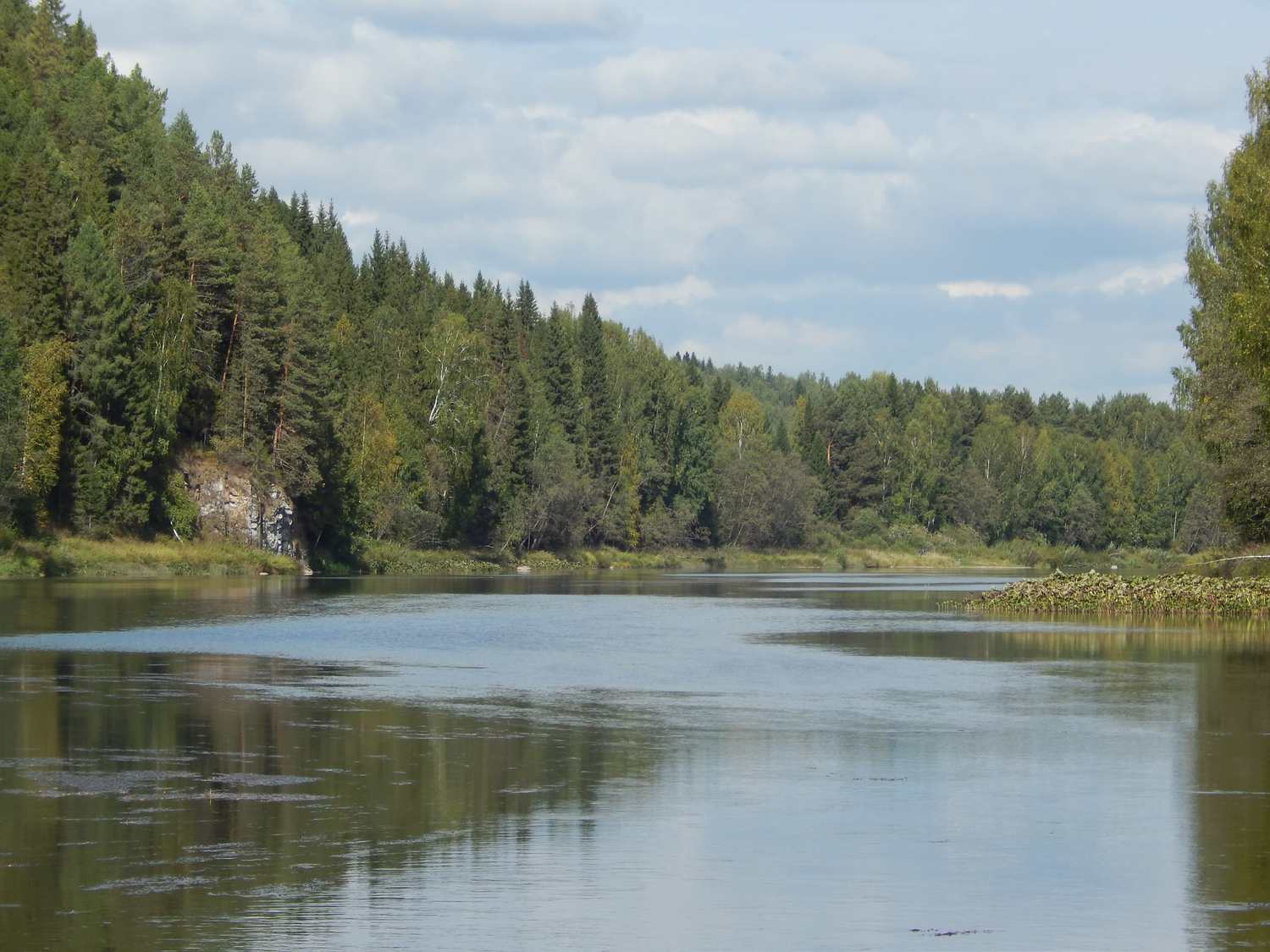 Внутрихозяйственое охотустройство