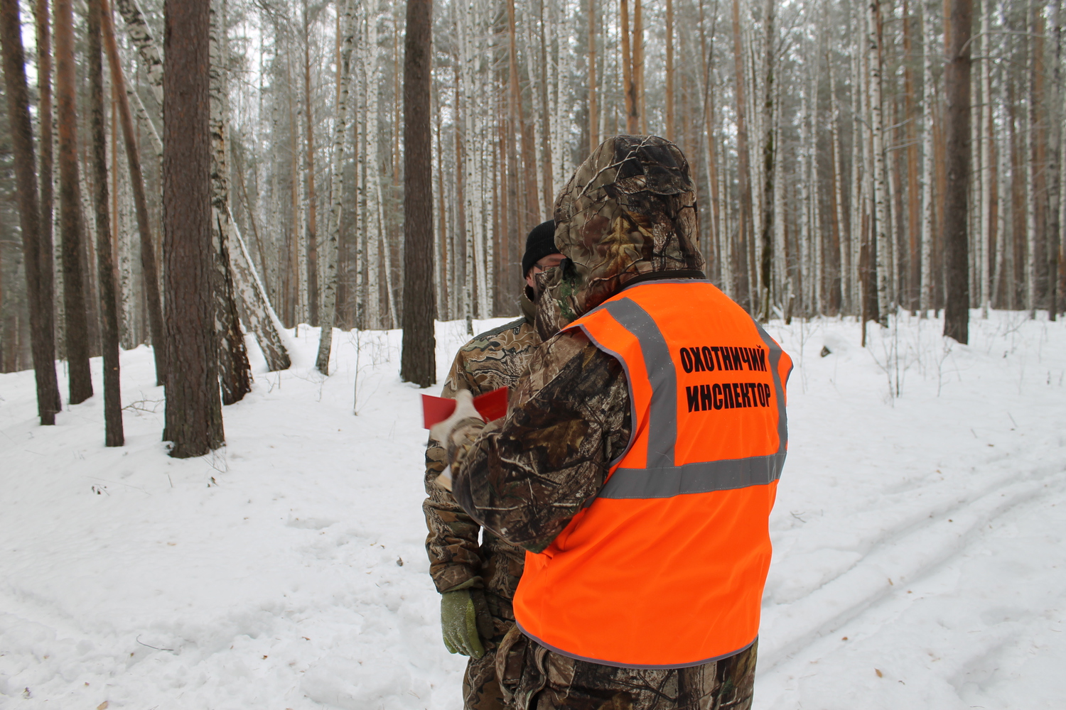 Помощь в организации производственного охотничьего контроля 