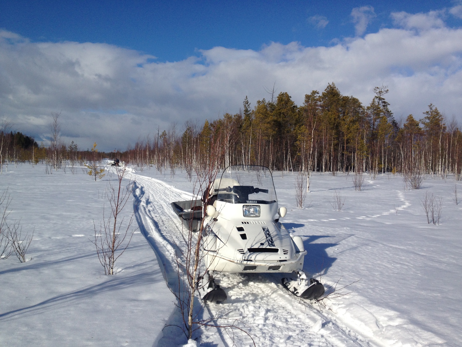 Методическая помощь в проведении учетных работ