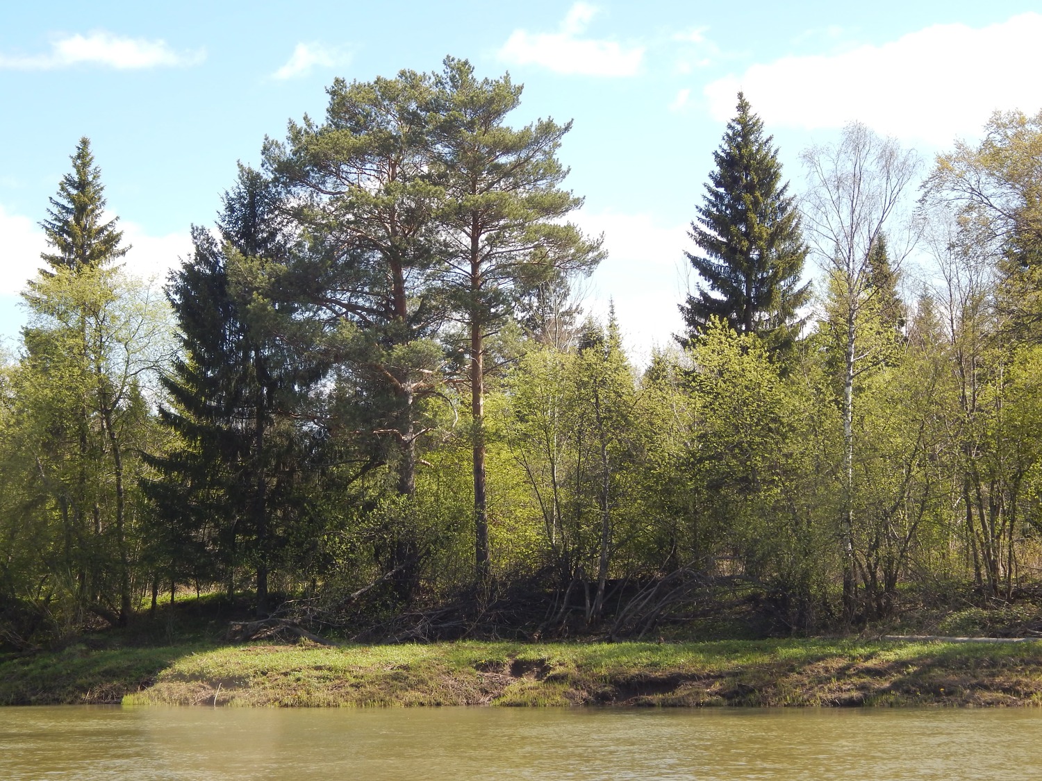 Составление отчетности и ведение документов охотничьих хозяйств (Аутсорсинг)